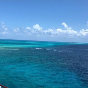 Meet your Posher, Penny